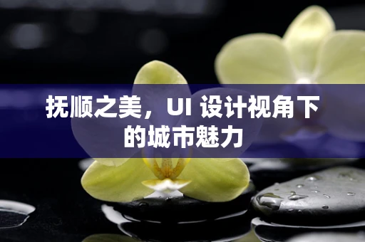抚顺之美，UI 设计视角下的城市魅力