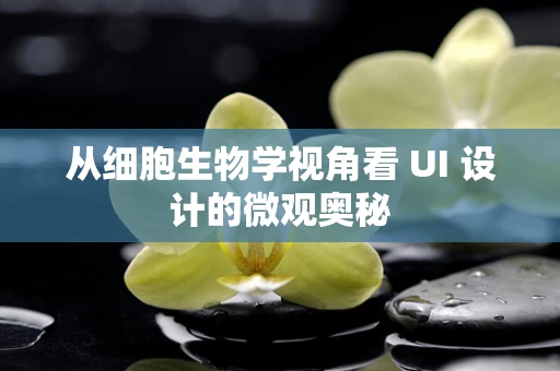 从细胞生物学视角看 UI 设计的微观奥秘