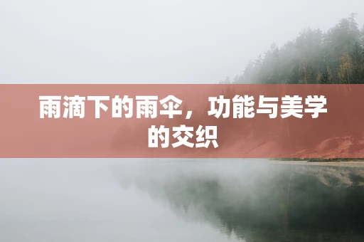 雨滴下的雨伞，功能与美学的交织