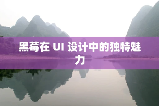 黑莓在 UI 设计中的独特魅力