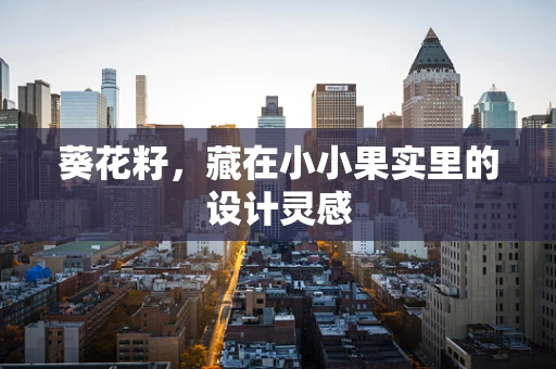 葵花籽，藏在小小果实里的设计灵感