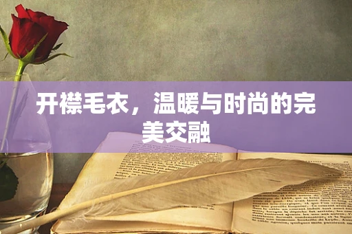 开襟毛衣，温暖与时尚的完美交融