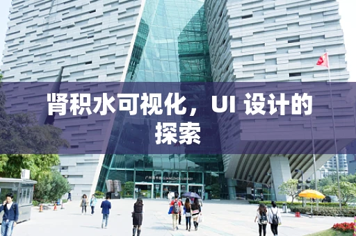 肾积水可视化，UI 设计的探索