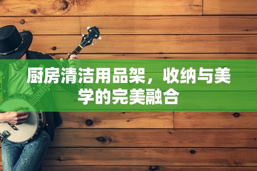 厨房清洁用品架，收纳与美学的完美融合