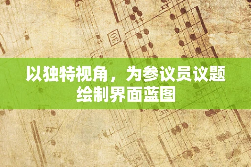 以独特视角，为参议员议题绘制界面蓝图