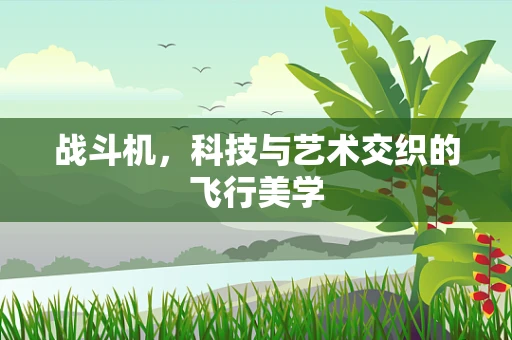 战斗机，科技与艺术交织的飞行美学