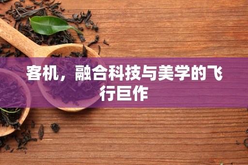 客机，融合科技与美学的飞行巨作