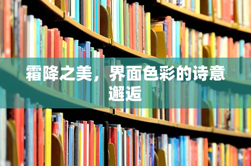 霜降之美，界面色彩的诗意邂逅