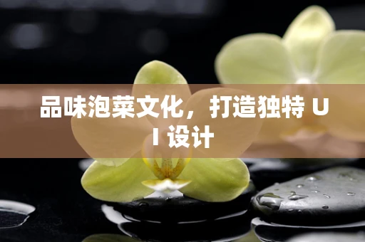 品味泡菜文化，打造独特 UI 设计