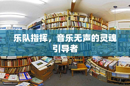 乐队指挥，音乐无声的灵魂引导者