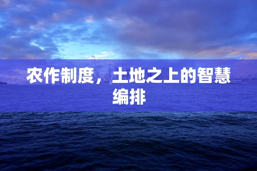 农作制度，土地之上的智慧编排