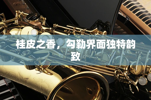 桂皮之香，勾勒界面独特韵致