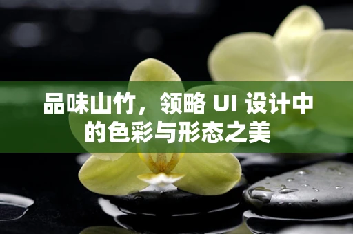 品味山竹，领略 UI 设计中的色彩与形态之美